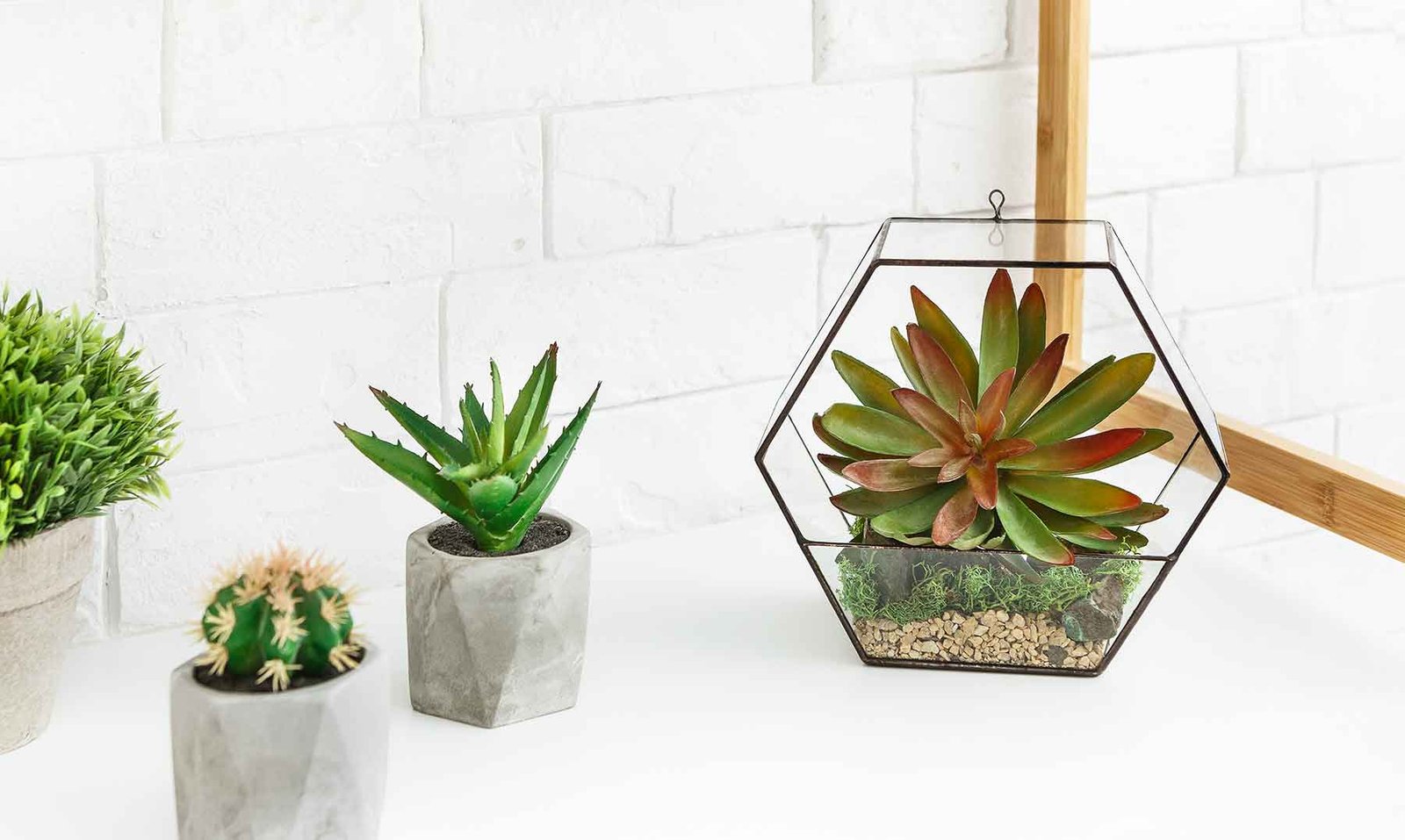 Mini Florarium